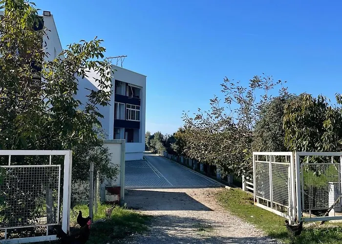 Cozy Nest By The Sea *